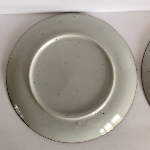 Set Of Two Speckled Southwest Aztec Stoneware Luncheon Plates CVD - Picture 9 of 15